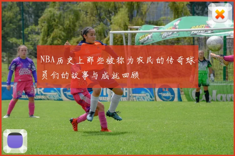NBA历史上那些被称为农民的传奇球员们的故事与成就回顾