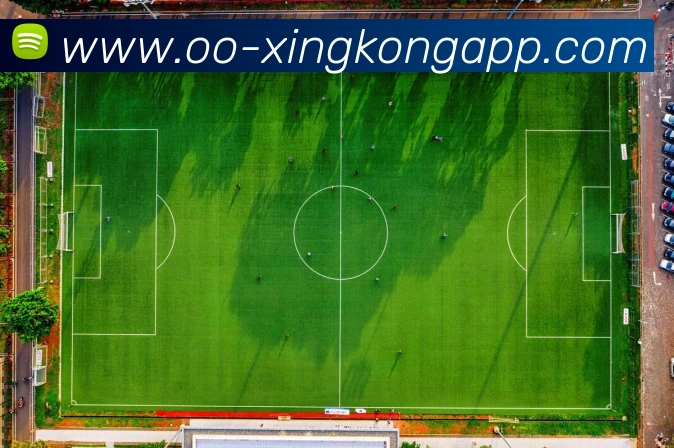 奖项图1